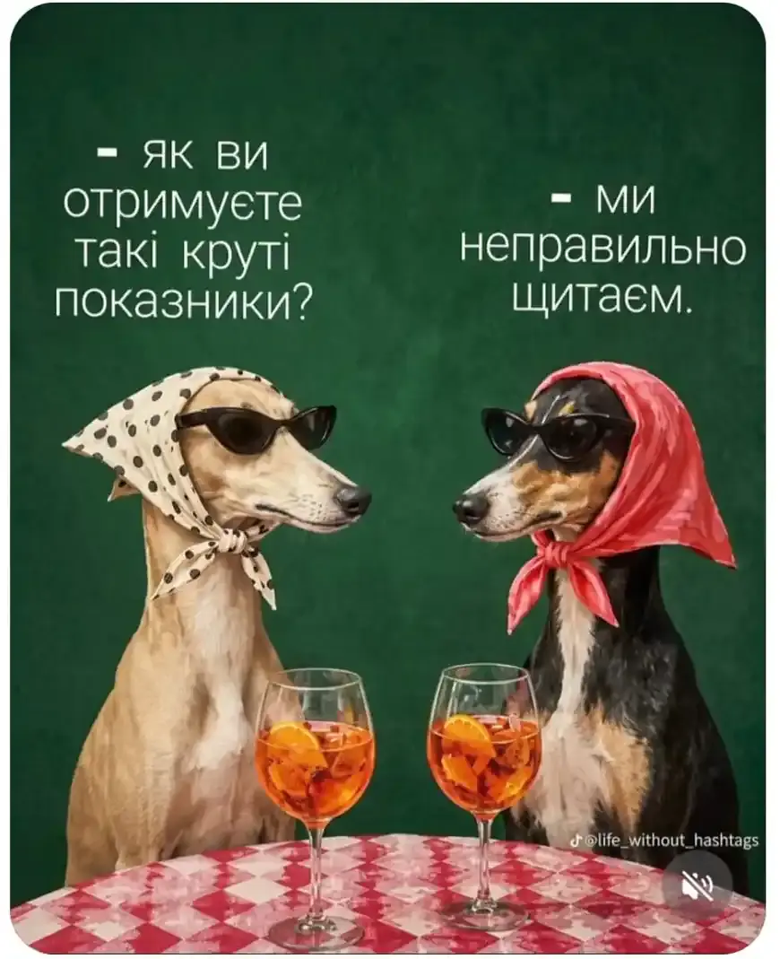Дві собаки в окулярах пояснюють хороші показники помилкою в розрахунках
