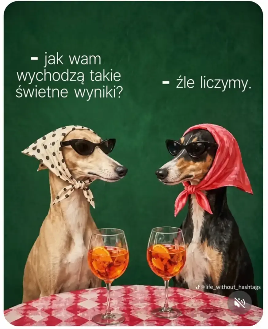 Dwa psy w okularach tłumaczą dobre wyniki błędem w obliczeniach