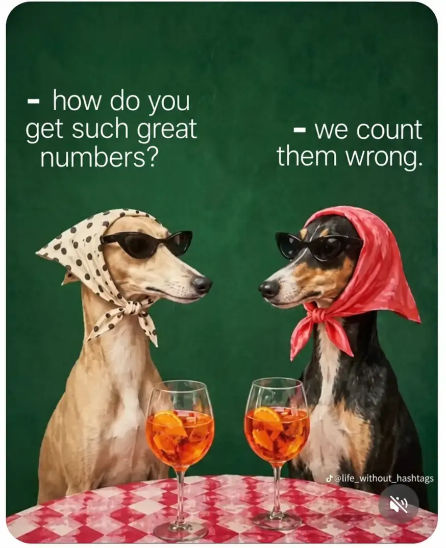 Two dogs in sunglasses explain that strong metrics came from a calculation error