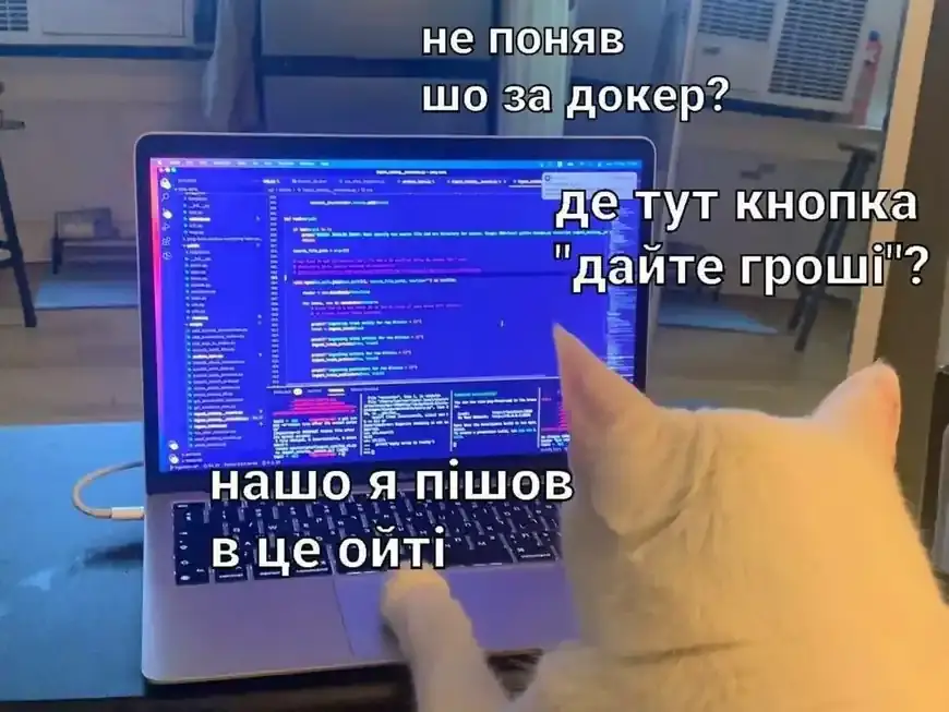 Кіт дивиться на код у ноутбуці та шукає кнопку «дайте гроші»