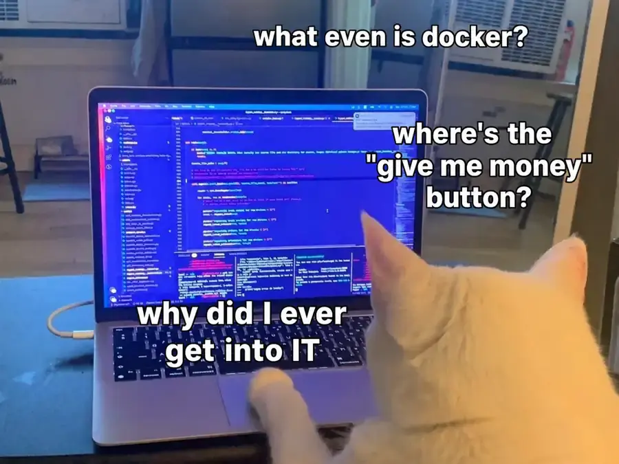 A cat looks at code on a laptop and searches for a give-me-money button