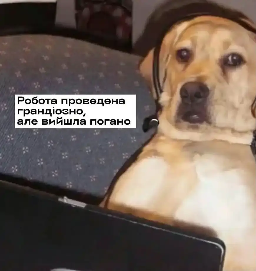 Собака за ноутбуком каже, що роботу виконали грандіозно, але вийшло погано