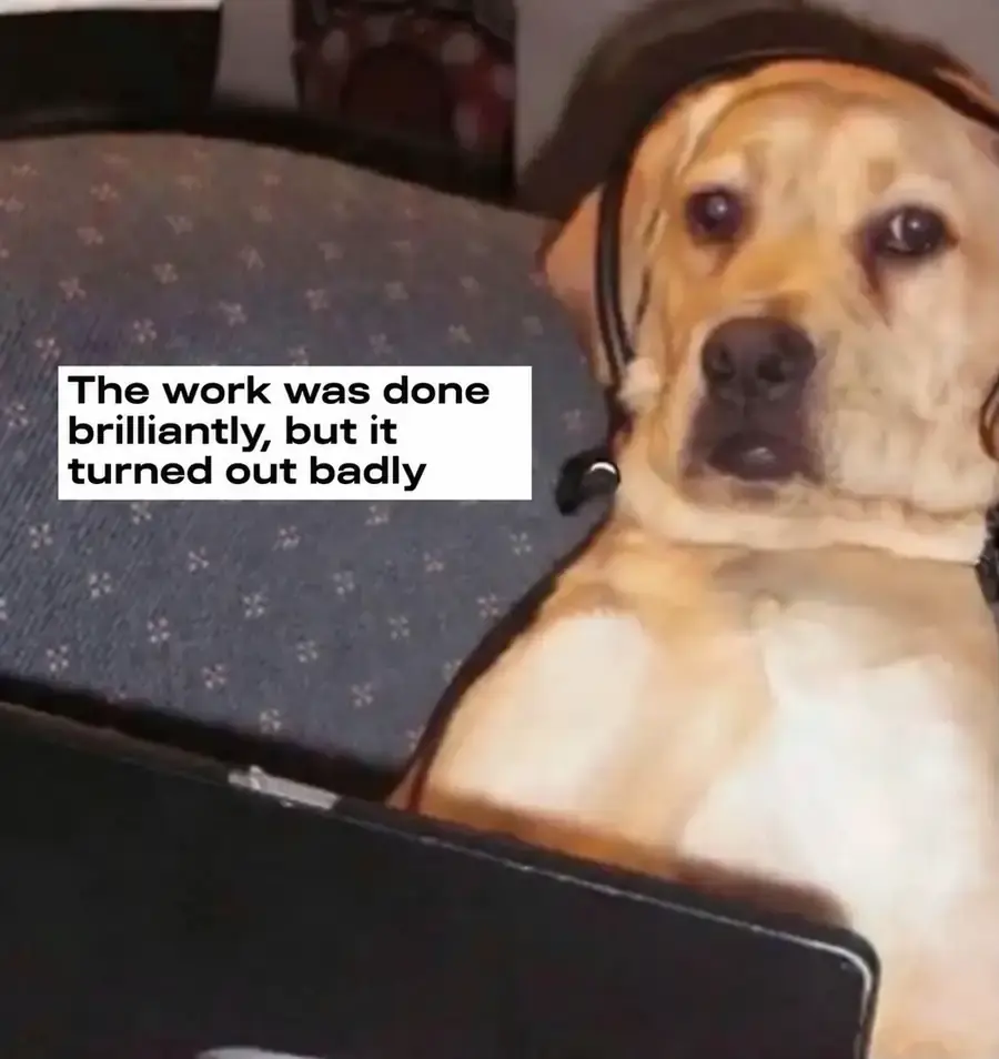 A dog at a laptop says the work was grand, but the result turned out badly
