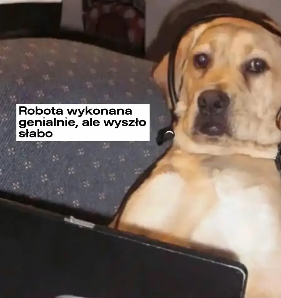 Pies przy laptopie mówi, że praca była wykonana z rozmachem, ale wyszło słabo