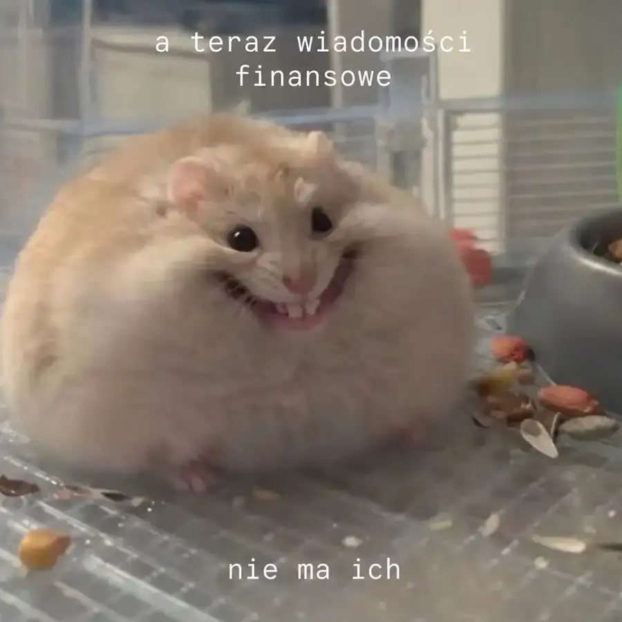 Chomik słucha wiadomości finansowych: pieniędzy nie ma