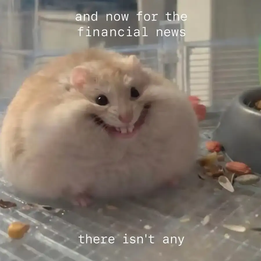 A hamster listens to the financial news: there is no money