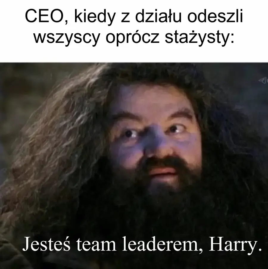 Hagrid mianuje stażystę team leaderem po zwolnieniu całego działu