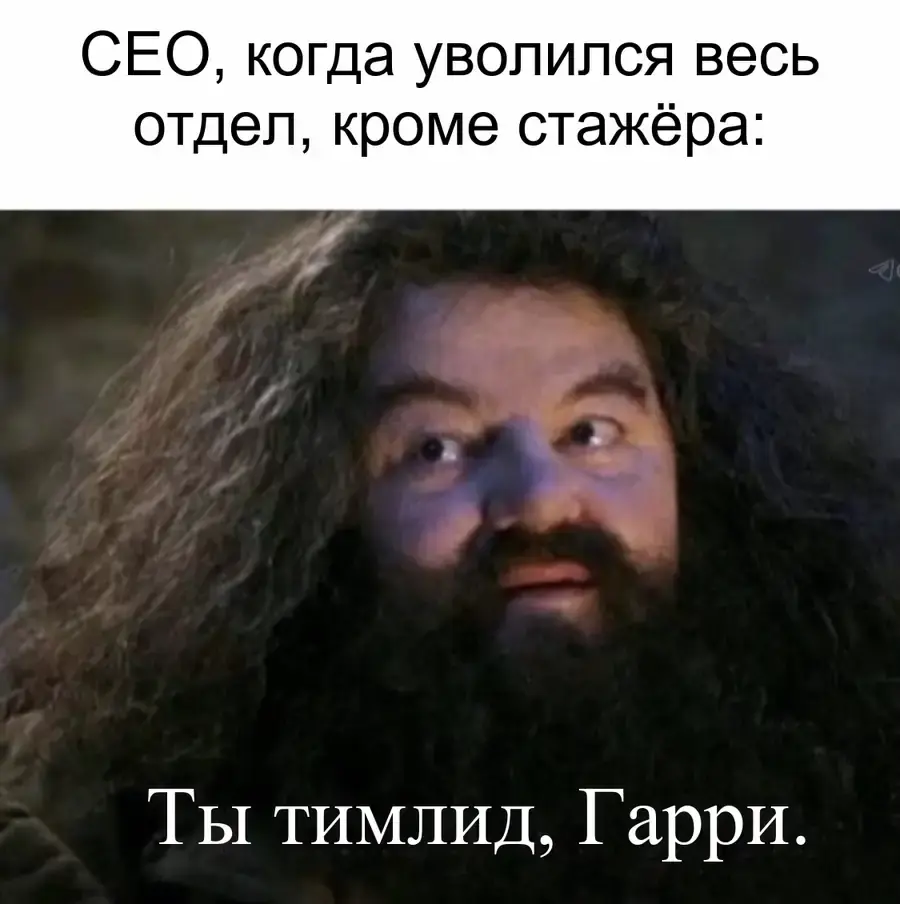 Хагрид назначает стажера тимлидом после увольнения всего отдела