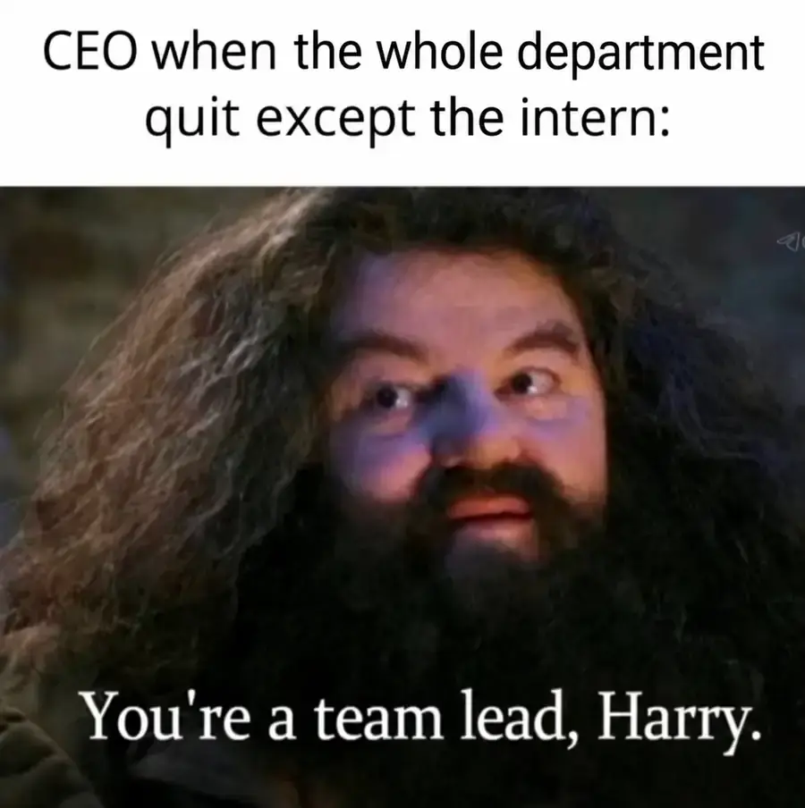 Hagrid makes the intern team lead after the entire department quits